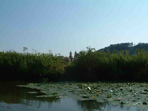 2007-07-26_05 2007-07-26_05