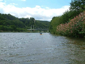 2007-07-30_01 2007-07-30_01