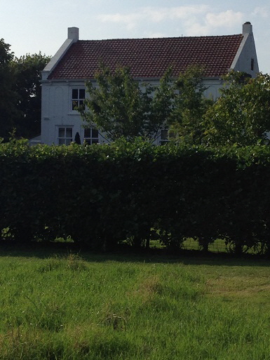 IMG_4353 IMG_4353